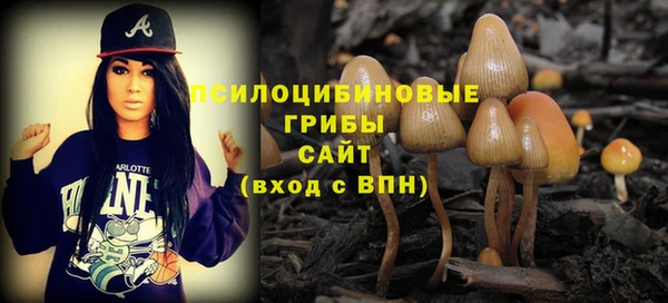 стафф Абаза