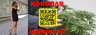 apvp Ставрополь