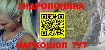 apvp Ставрополь