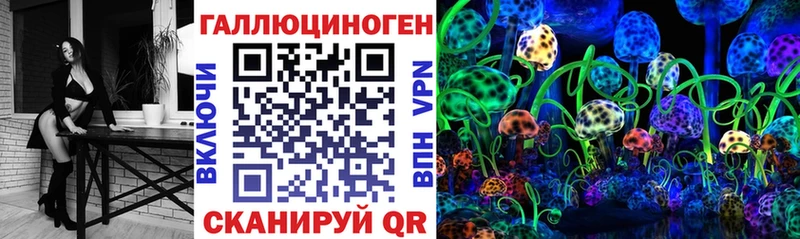 OMG как войти  Аксай  Псилоцибиновые грибы мицелий 